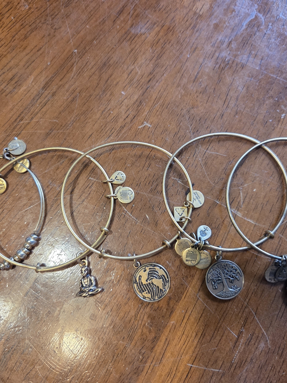 ALEX and ANI Gold Tone Charm Bangle Bracelet Set